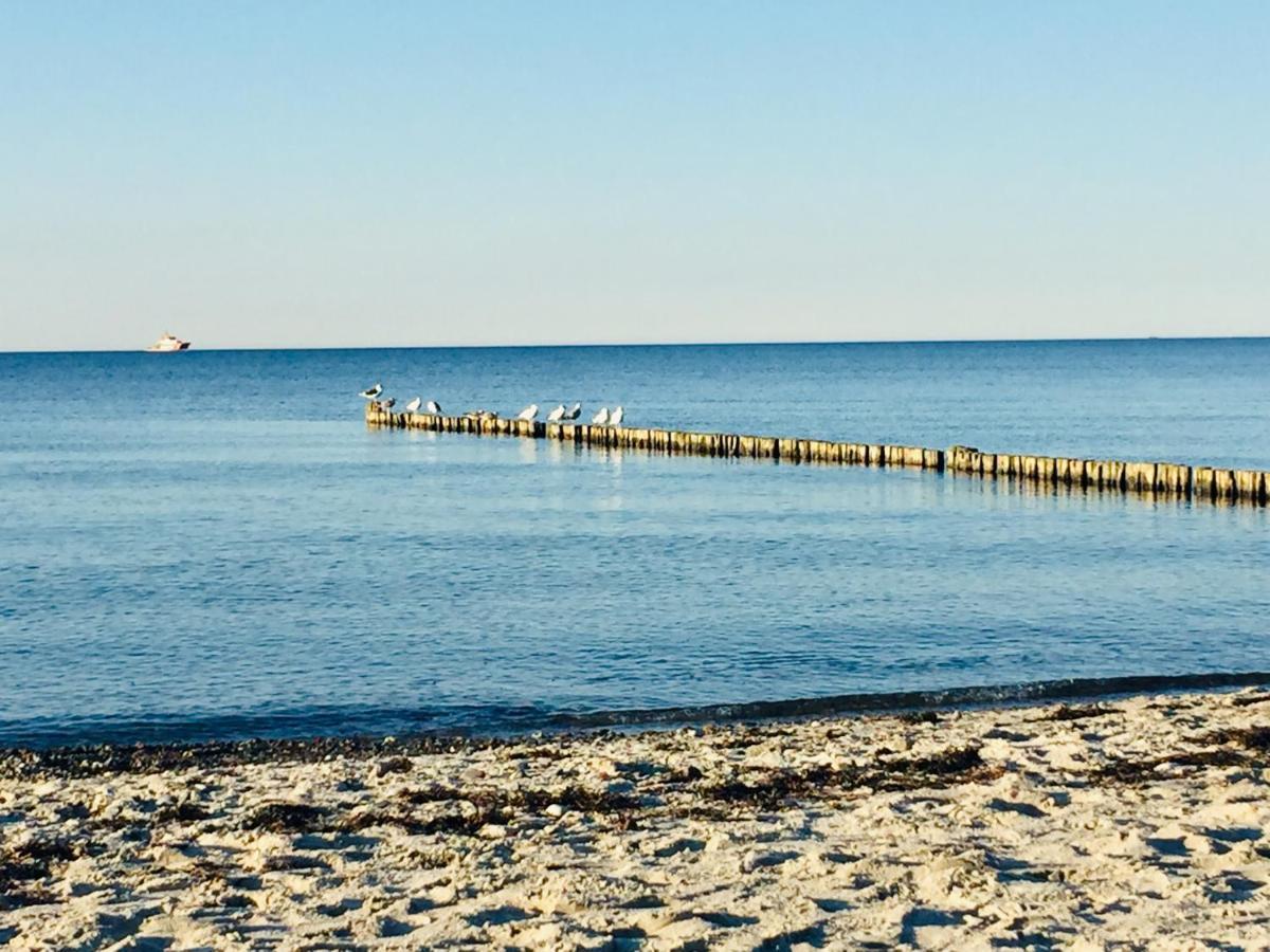 Börgerende-Rethwisch Aparthotel Waterkant Suites - Fewos Am Meer Mit Spa מראה חיצוני תמונה